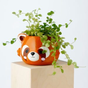 Ceramiczna doniczka do roślin duża - Panda czerwona